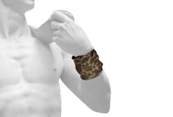 Delphin buff Carpath