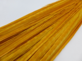 Pheasant Tail Sunburst 50-55 cm