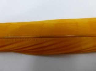 Pheasant Tail Sunburst 50-55 cm