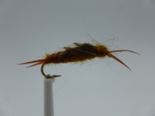 Size 14 Kaufmann Stone Brown